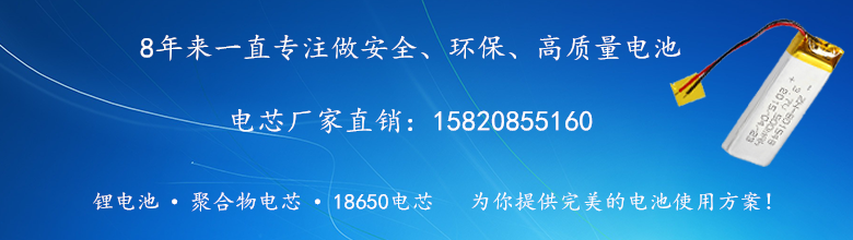 聚合物電池廠家