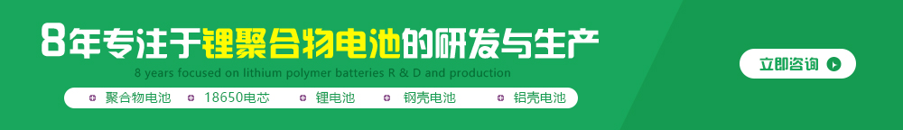 鋰聚合物電池廠(chǎng)家